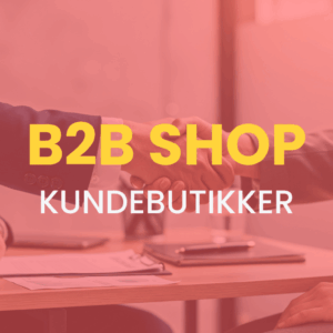 B2B Shop